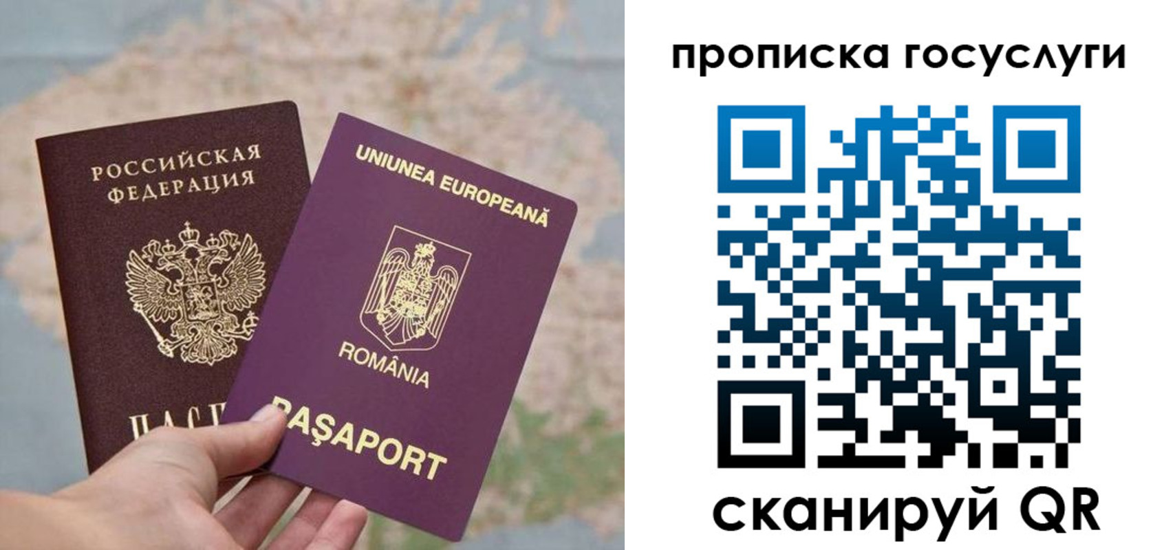 прописка паспорт в Звенигово